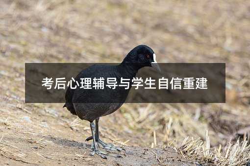 考后心理輔導與學生自信重建