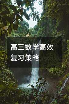 高三數學高效復習策略