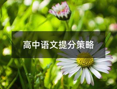 高中語文提分策略