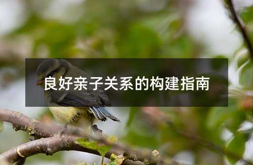 良好親子關系的構建指南