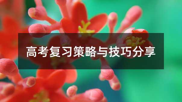 高考復(fù)習(xí)策略與技巧分享