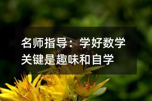 名師指導:學好數學關鍵是趣味和自學