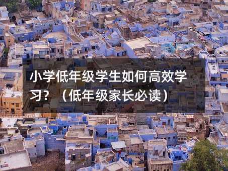 小學(xué)低年級學(xué)生如何高效學(xué)習(xí)?(低年級家長必讀)