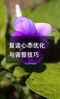復讀心態優化與調整技巧