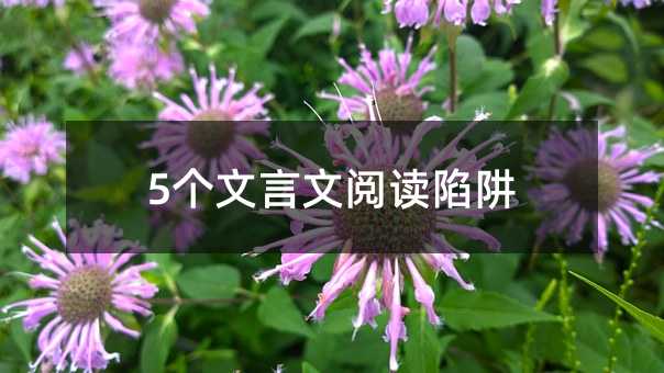 5個文言文閱讀陷阱