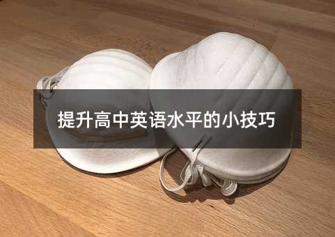 提升高中英語水平的小技巧