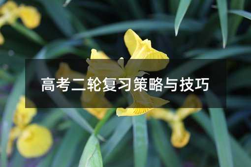 高考二輪復(fù)習(xí)策略與技巧