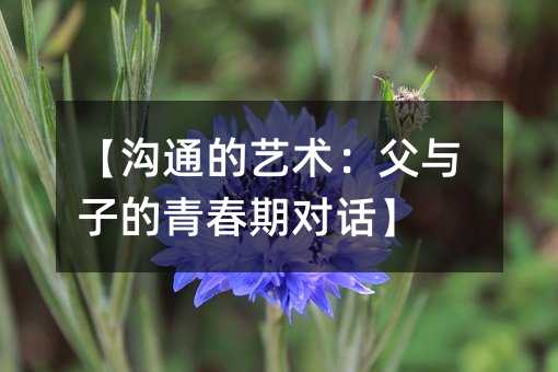 【溝通的藝術:父與子的青春期對話】