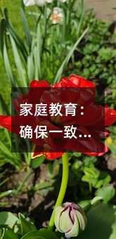 家庭教育:確保一致性以培養孩子的健全心理