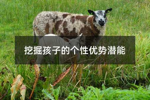 挖掘孩子的個性優勢潛能
