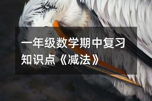 һ�꼉���W���Џ���֪�R�c���p����