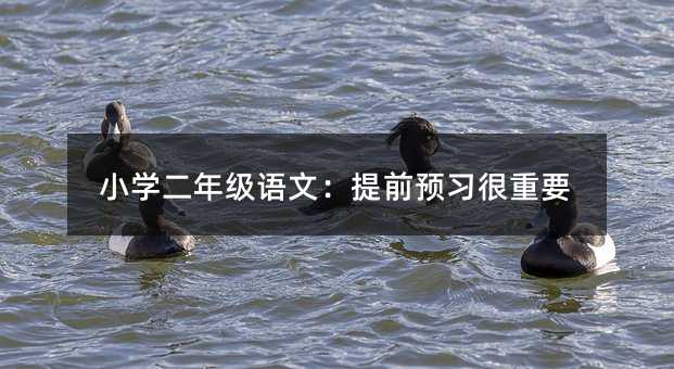 小學二年級語文:提前預習很重要