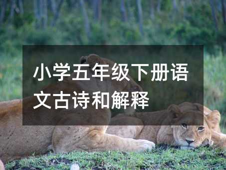 小學(xué)五年級(jí)下冊(cè)語(yǔ)文古詩(shī)和解釋