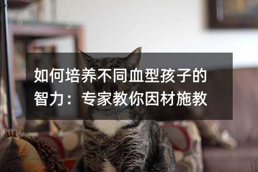 如何培養(yǎng)不同血型孩子的智力:專家教你因材施教