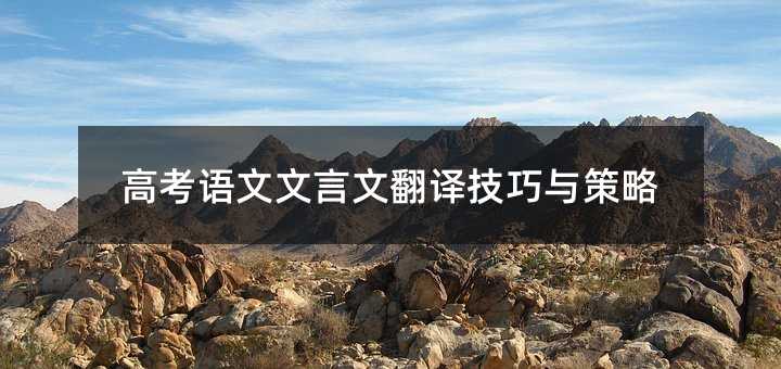 高考語文文言文翻譯技巧與策略