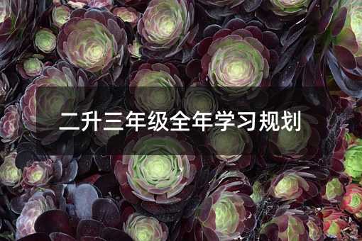 二升三年級全年學習規劃