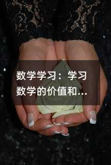 數學學習:學習數學的價值和意義