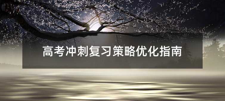 高考沖刺復(fù)習策略優(yōu)化指南