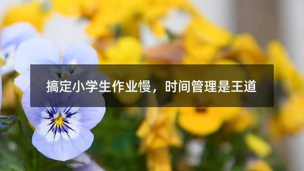搞定小學生作業(yè)慢,時間管理是王道