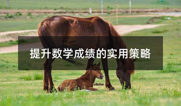 提升數學成績的實用策略