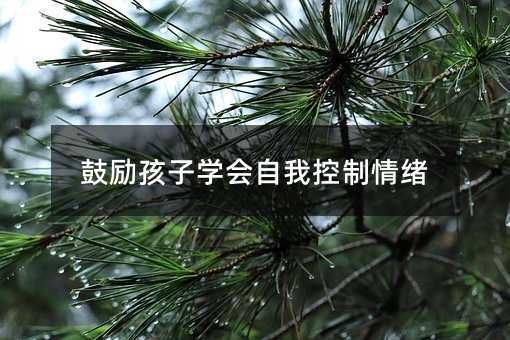 鼓勵(lì)孩子學(xué)會(huì)自我控制情緒