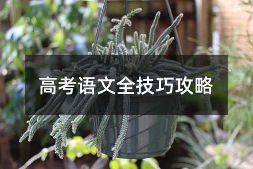 高考語文全技巧攻略