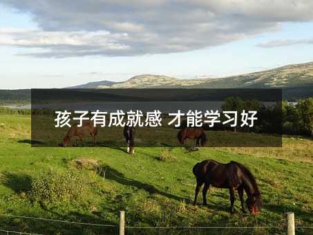 孩子有成就感 才能學(xué)習(xí)好