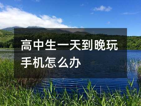 高中生一天到晚玩手機怎么辦