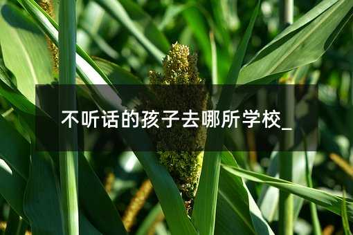 不聽話的孩子去哪所學校_