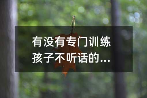 有沒有專門訓練孩子不聽話的地方