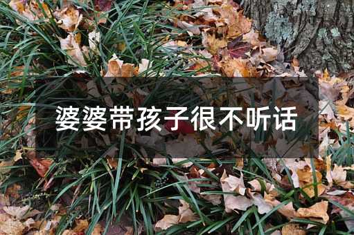 婆婆帶孩子很不聽話