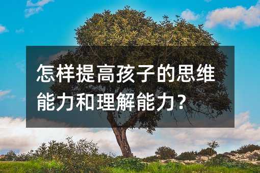 怎樣提高孩子的思維能力和理解能力?