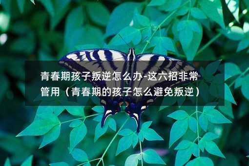 青春期孩子叛逆怎么辦-這六招非常管用(青春期的孩子怎么避免叛逆)