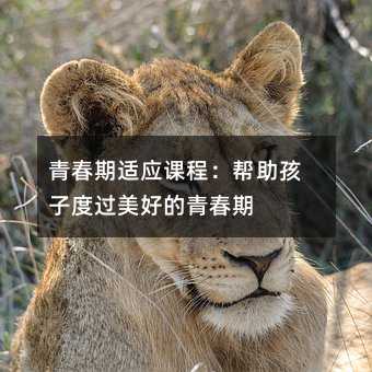 青春期適應課程:幫助孩子度過美好的青春期