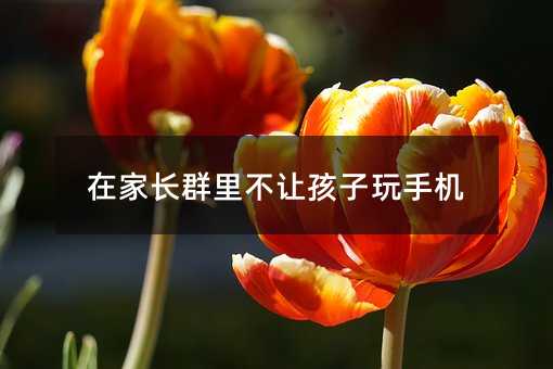 ڼL(zhng)Ⱥﲻ׌֙C(j)