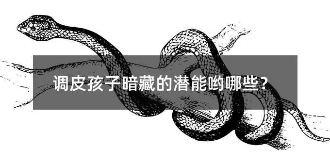 調(diào)皮孩子暗藏的潛能喲哪些?