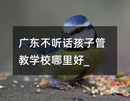 廣東不聽話孩子管教學校哪里好_