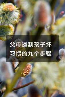 父母遏制孩子壞習慣的九個步驟