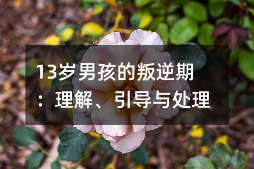 13歲男孩的叛逆期:理解、引導與處理