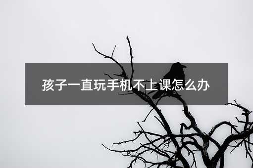 孩子一直玩手機(jī)不上課怎么辦
