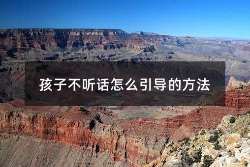 孩子不聽話怎么引導的方法