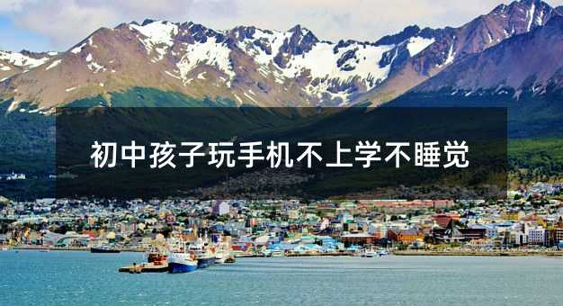 初中孩子玩手機不上學不睡覺