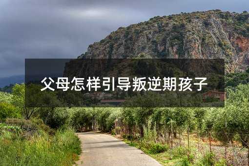 父母怎樣引導叛逆期孩子