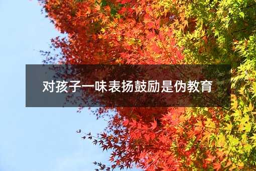 對孩子一味表揚鼓勵是偽教育