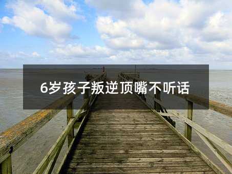 6歲孩子叛逆頂嘴不聽話
