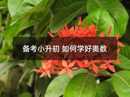 俼С ΌWÊW