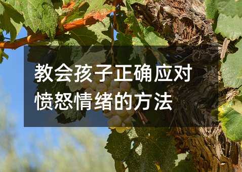 教會孩子正確應對憤怒情緒的方法