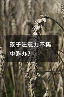 孩子注意力不集中咋辦?