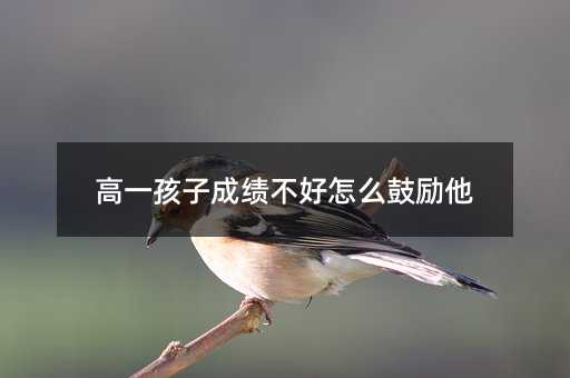 һӳɿôĄ