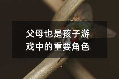 父母也是孩子游戲中的重要角色